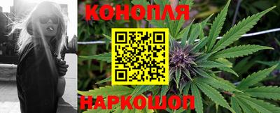 шишки Коммунар