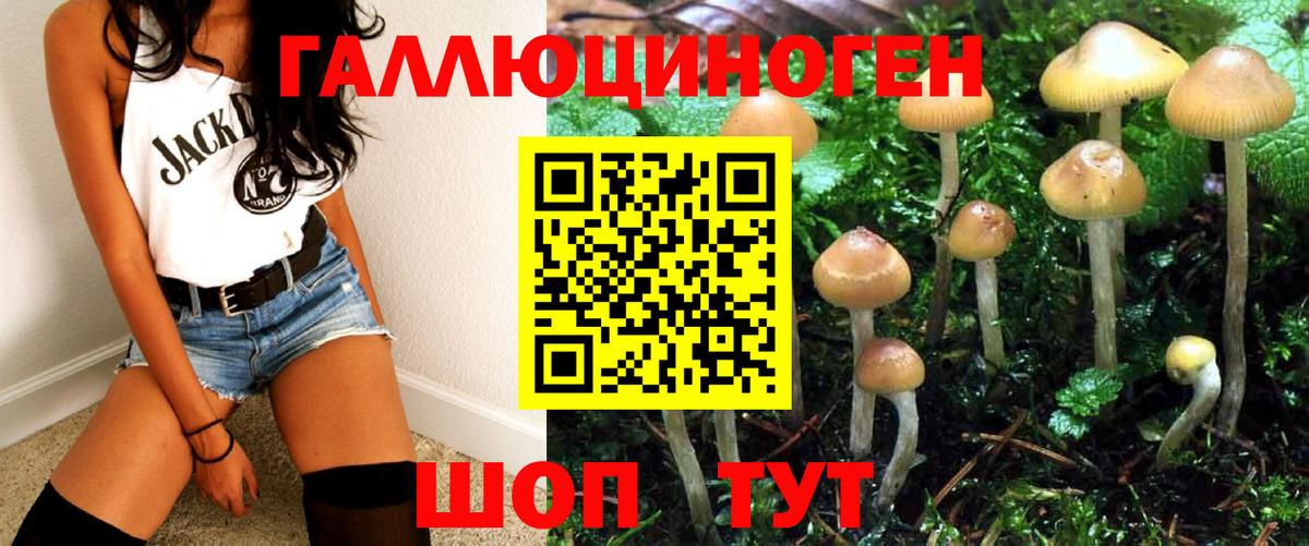 где можно купить наркотик  Галлюциногенные грибы MAGIC MUSHROOMS  Вход с VPN  Губкин 